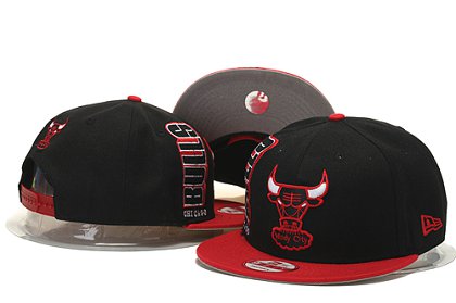 Chicago Bulls Hat YS 150624 02